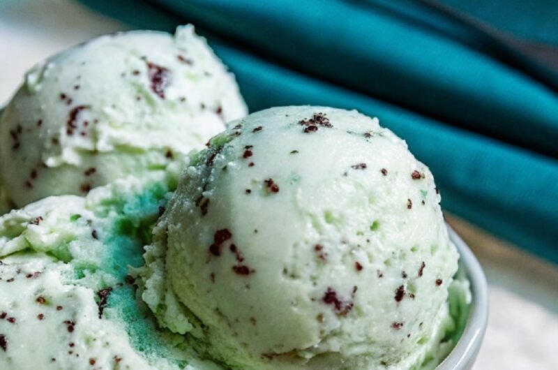 Mint Chocolate Chip Ice Cream